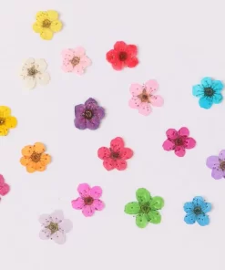 Gedroogde bloemen voor nagels klein